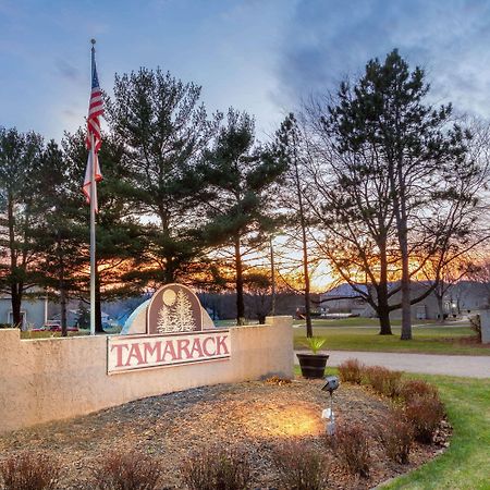 ホテル Tamarack Wisconsin Dells, A Ramada By Wyndham Lake Delton エクステリア 写真