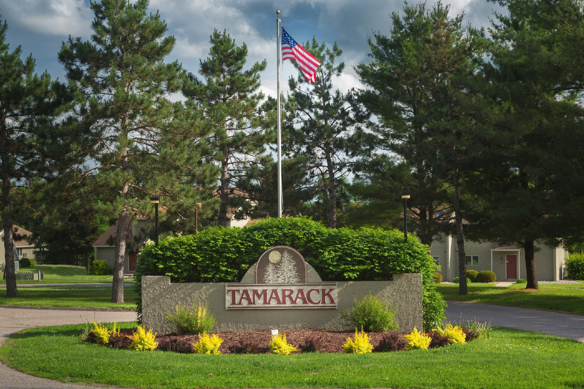 ホテル Tamarack Wisconsin Dells, A Ramada By Wyndham Lake Delton エクステリア 写真